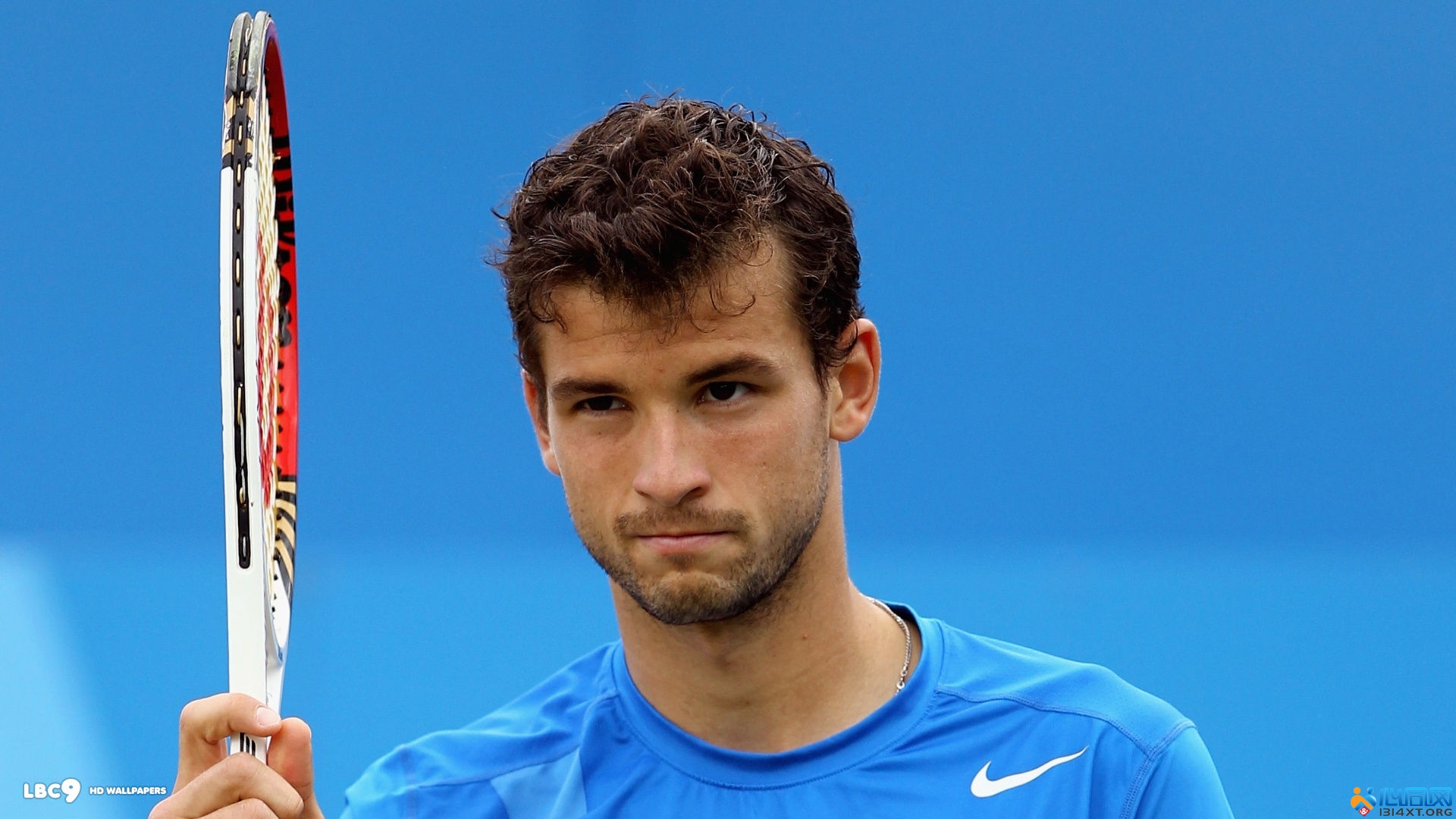 的职业生涯 的职业生涯