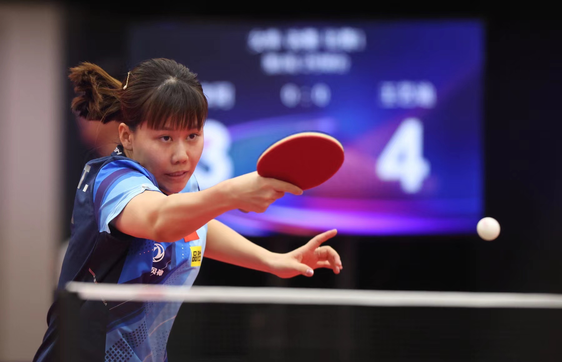 也是一条与 也是一条与