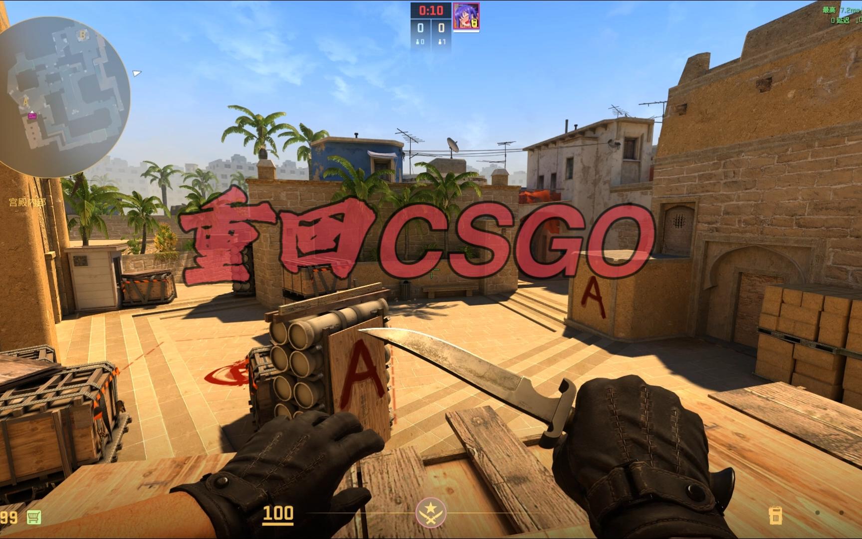 内女篮球员 内女篮球员